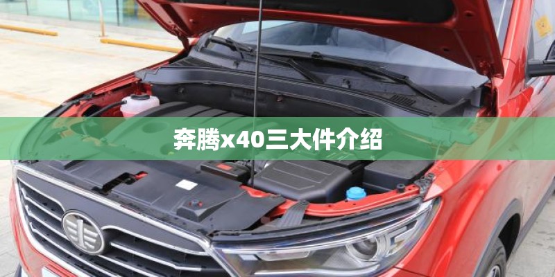 《种仙》最新txt全集