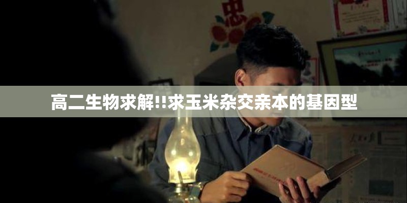 高二生物求解!!求玉米杂交亲本的基因型