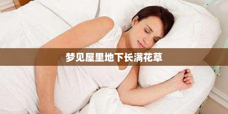 三种植物备注根茎叶