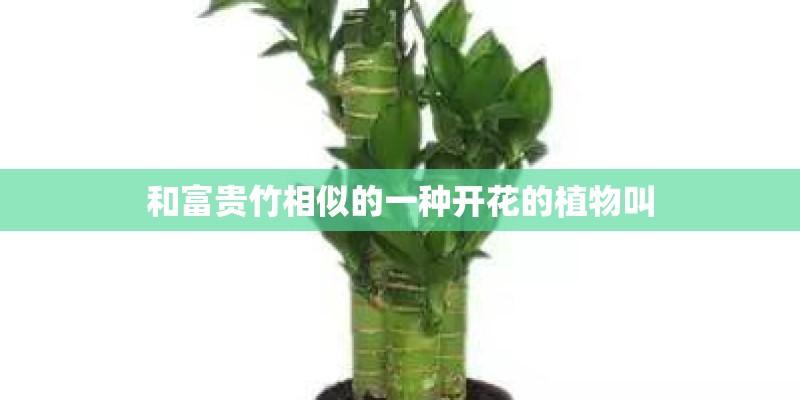 二手跑车敞篷4万左右