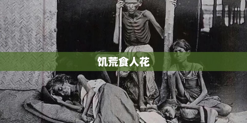 三种植物备注根茎叶