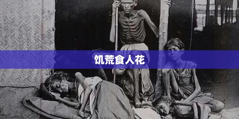 饥荒食人花