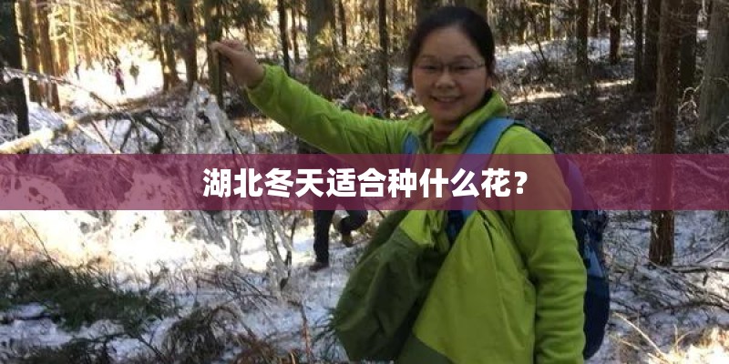 二手跑车敞篷4万左右