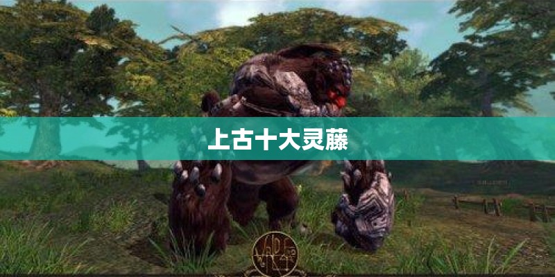 哪里的荷花最漂亮？