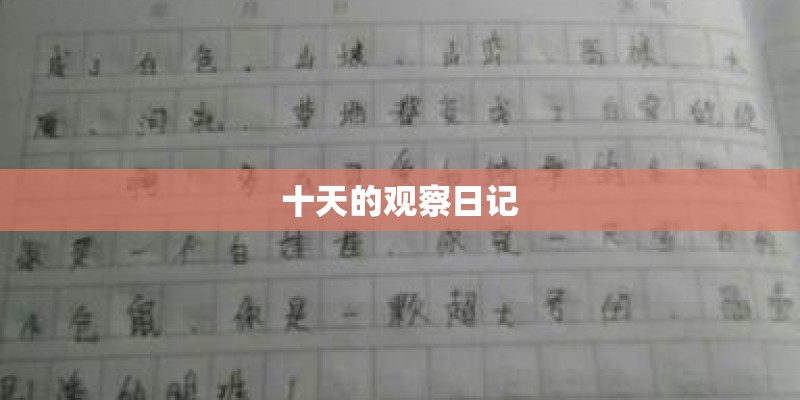 二手跑车敞篷4万左右