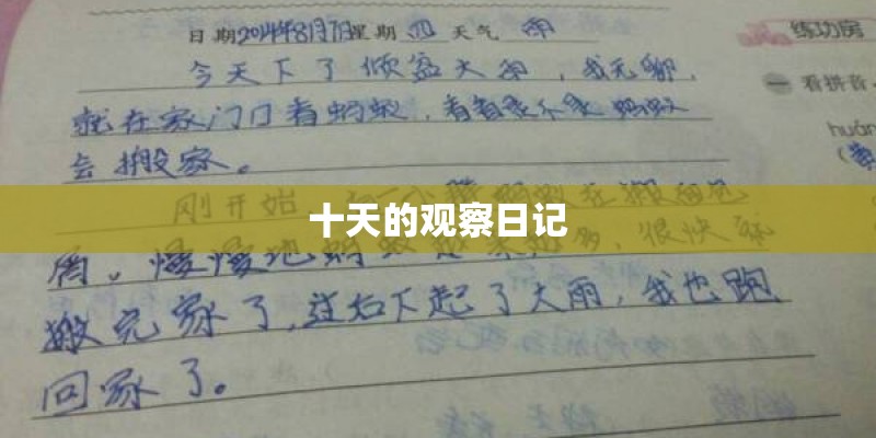 十天的观察日记 十天的观察日记