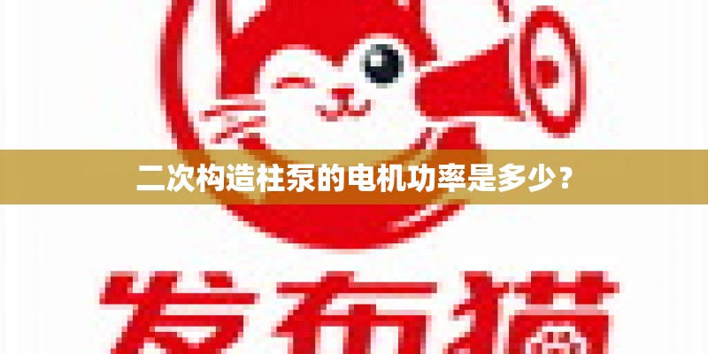 二次构造柱泵的电机功率是多少？