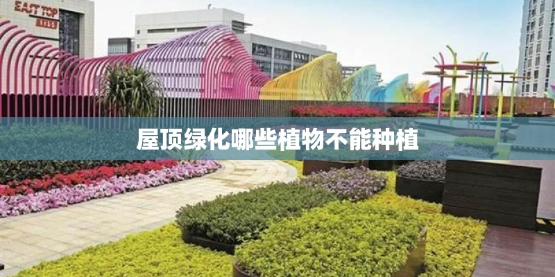 八月适合种什么花