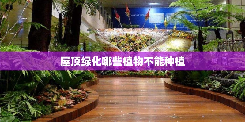 屋顶绿化哪些植物不能种植