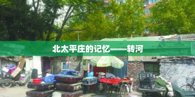 家里养花怎么批量化 家里可以批量化种植的植物有哪些