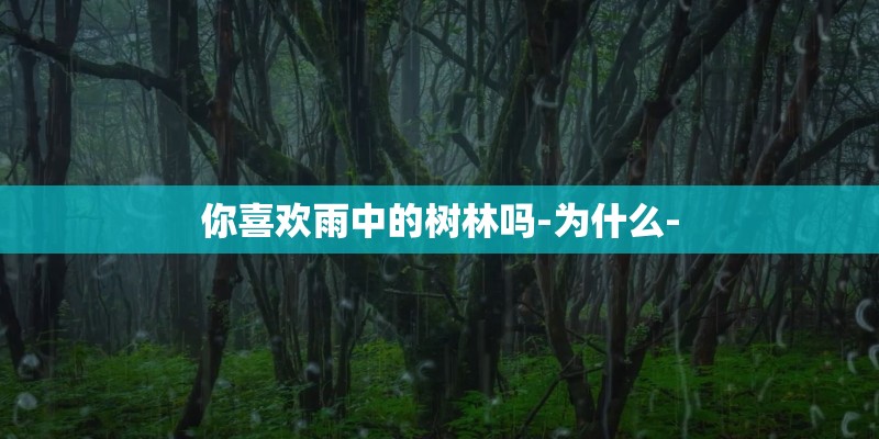 你喜欢雨中的树林吗-为什么-