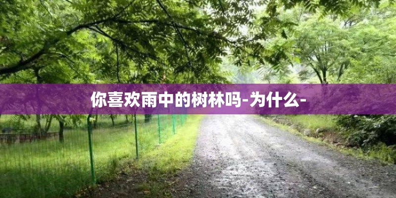 你喜欢雨中的树林吗-为什么-