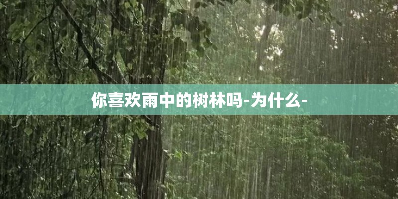 你喜欢雨中的树林吗-为什么-