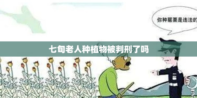 什么叶子是黄色的？