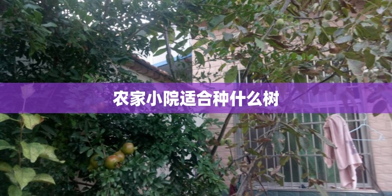 最好吃的糖果排行