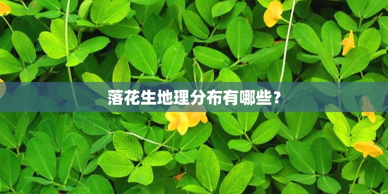 中天国际公寓的西安中天国际公寓