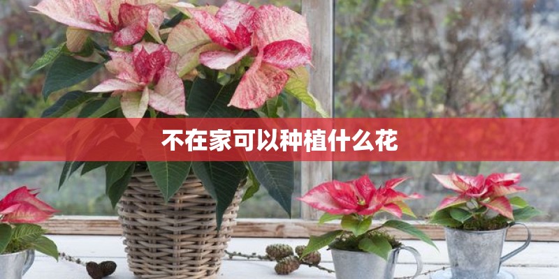玛莎拉蒂levante汽车之家