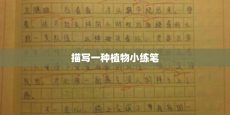 描写一种植物小练笔