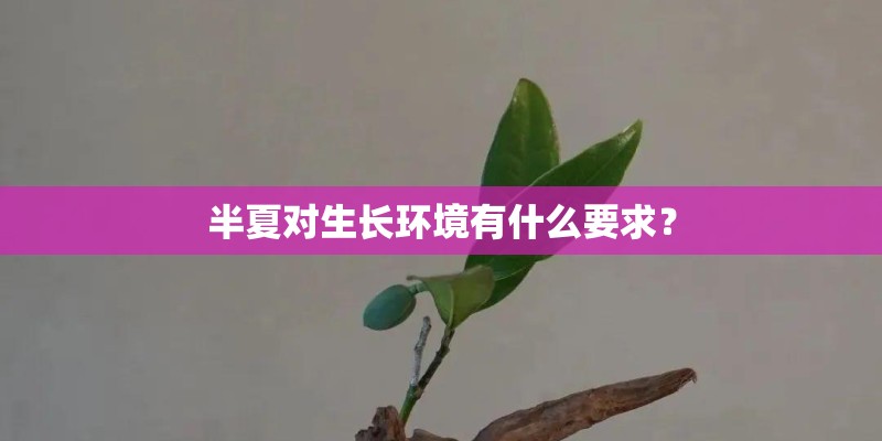 半夏对生长环境有什么要求? 半夏对生长环境有什么要求?