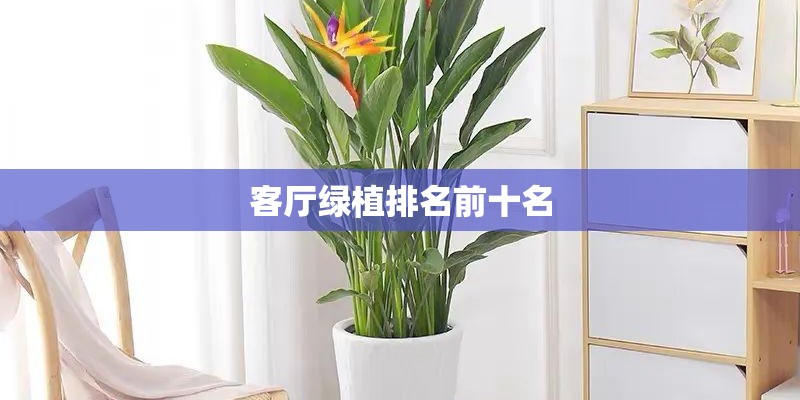 路虎发现神行者怎么样-