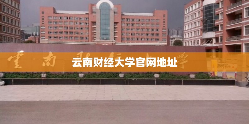 云南财经大学官网地址