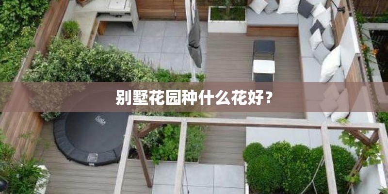 客厅绿植排名前十名
