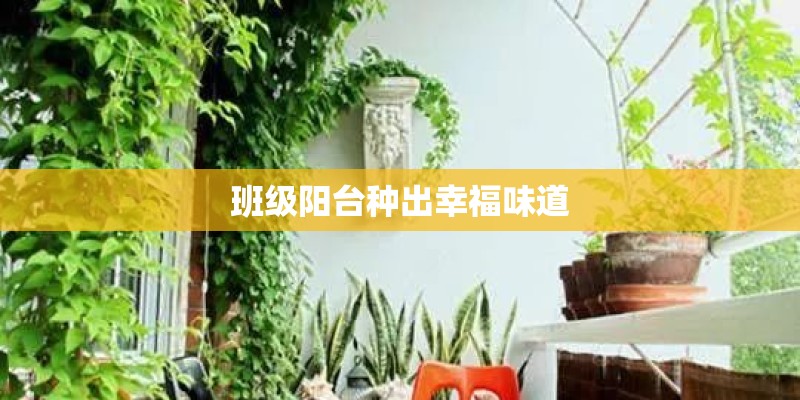 班级阳台种出幸福味道