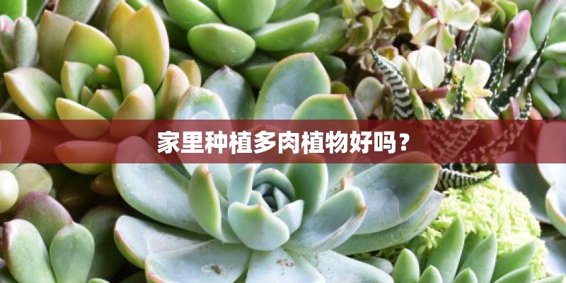 浅谈长安CS35 PLUS的影像辅助实用功能