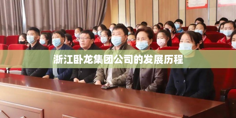 浙江卧龙集团公司的发展历程