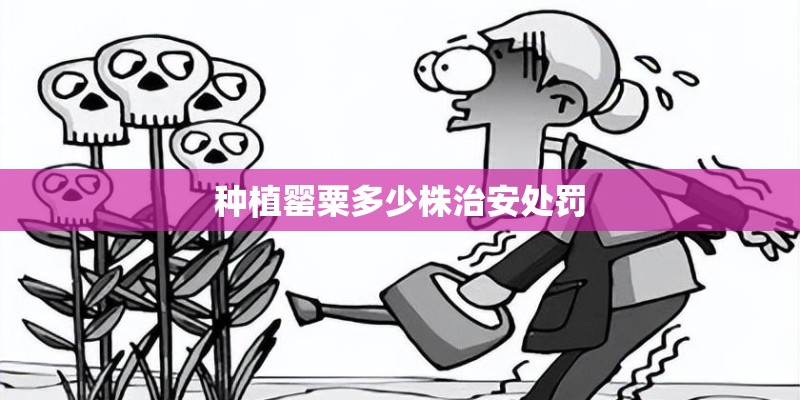 参考文献中的m j n分别代表什么？