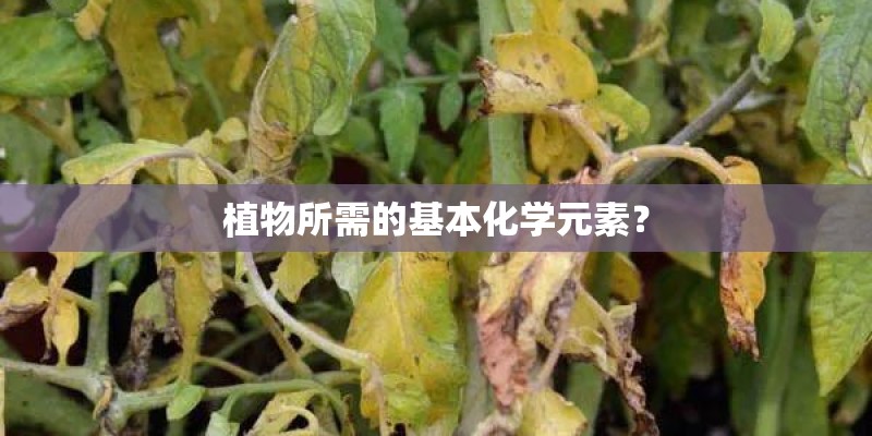 常用的八种教学方法