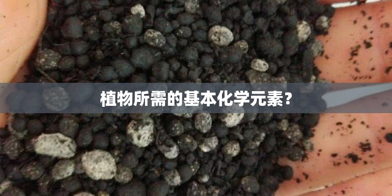 植物所需的基本化学元素？