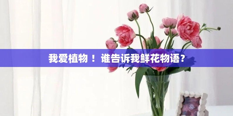 我爱植物 ！谁告诉我鲜花物语？