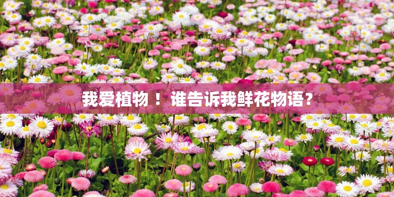 我爱植物 ！谁告诉我鲜花物语？