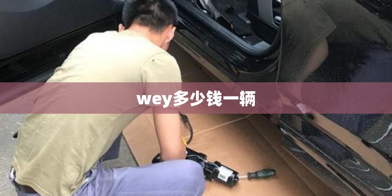 多肉小苗如何过冬