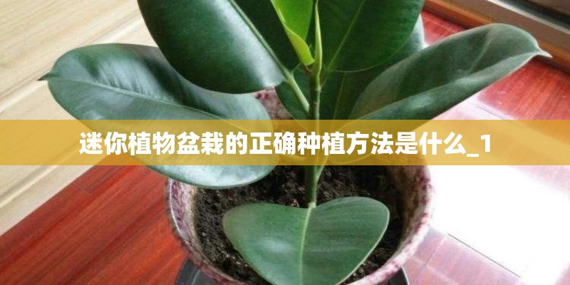 常熟理工学院是几本院校？