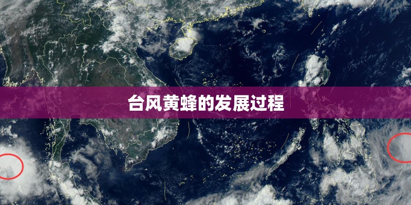 台风黄蜂的发展过程