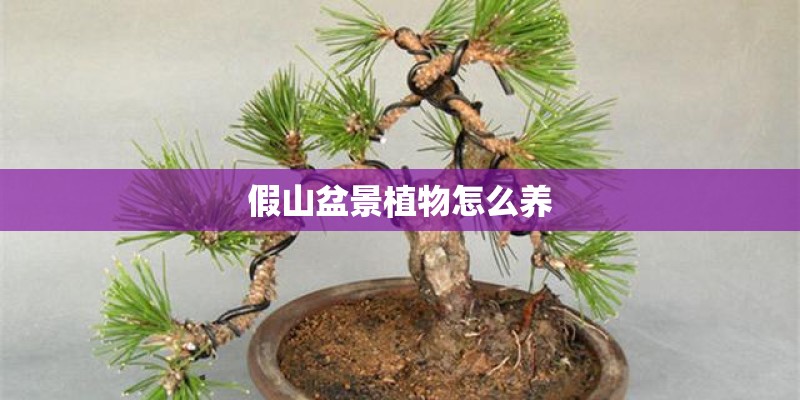 东风猛士军用越野车和北京吉普勇士军用越野车哪个性能好？