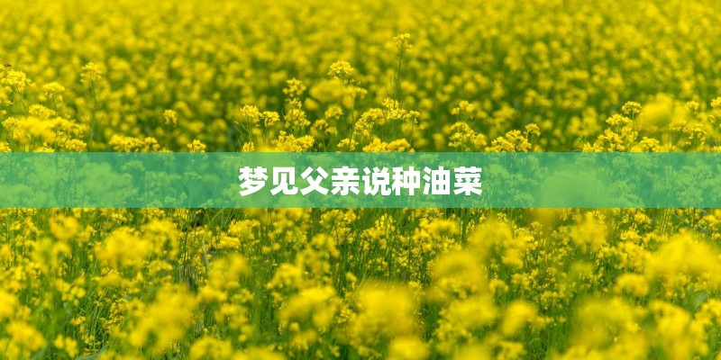 半夏对生长环境有什么要求？