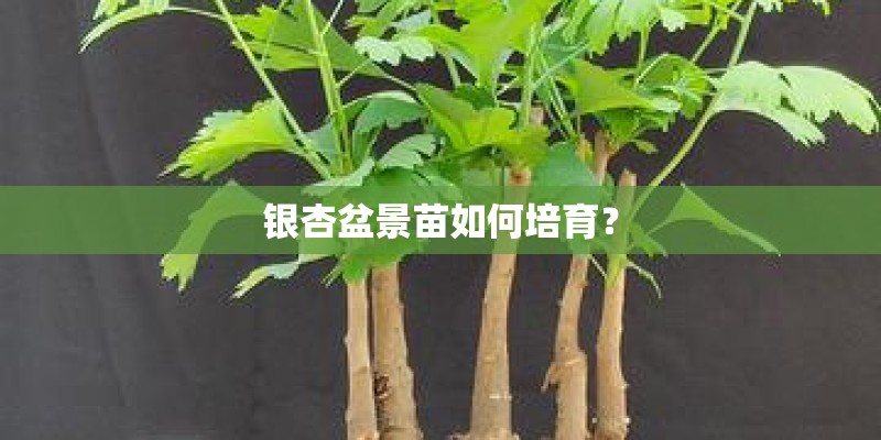 关于植物的寓言故事