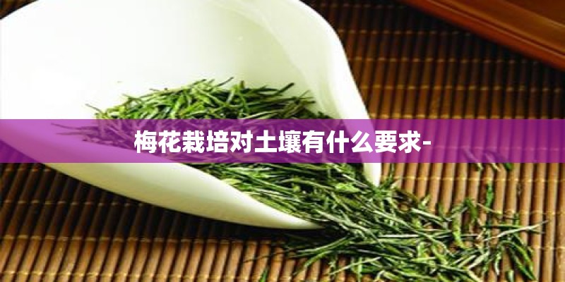 南方适宜种植什么药材？