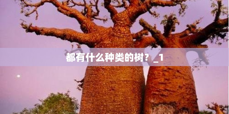 半夏对生长环境有什么要求？