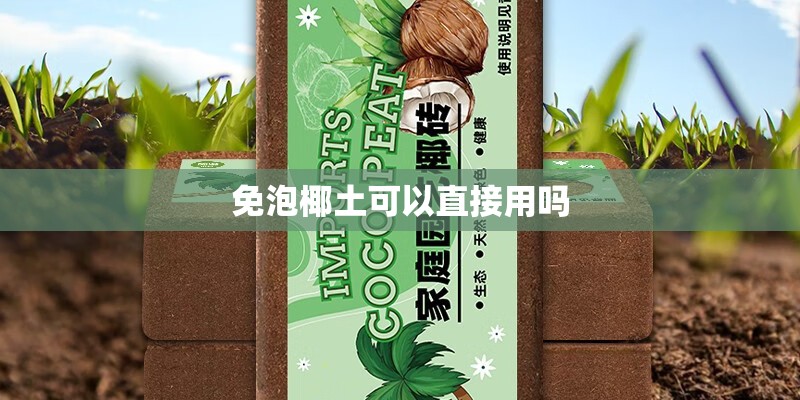 关于植物的寓言故事