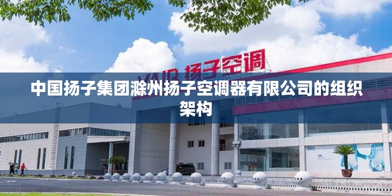 中国扬子集团滁州扬子空调器有限公司的组织架构
