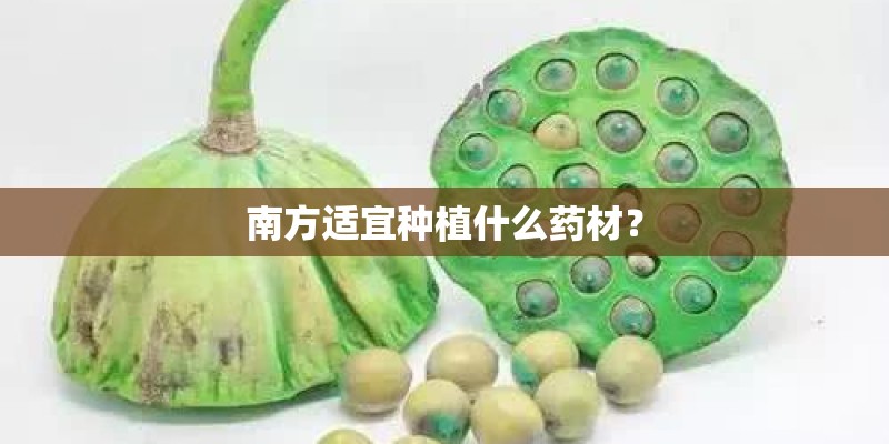 南方适宜种植什么药材？