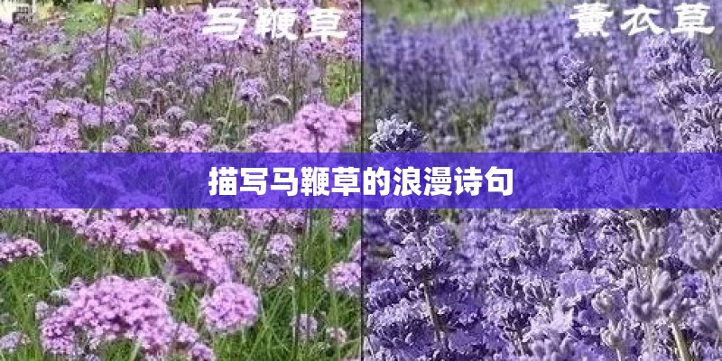 关于植物的寓言故事
