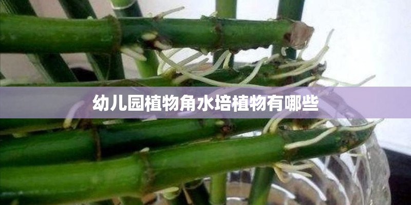 东风猛士军用越野车和北京吉普勇士军用越野车哪个性能好？