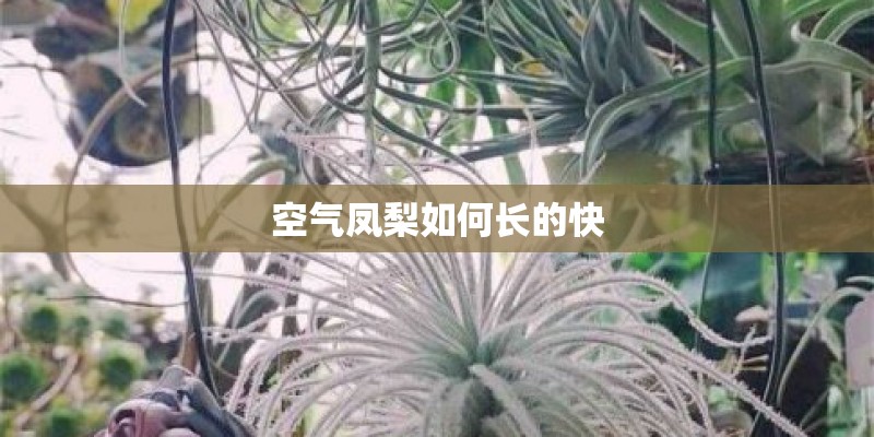 中国扬子集团滁州扬子空调器有限公司的组织架构