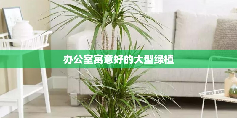 已知种子植物之“最”