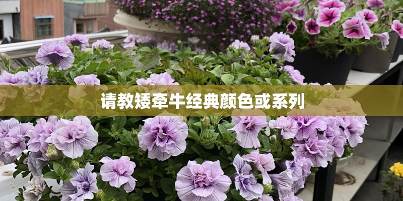 安庆天气预报15天安庆天气预报15天查询各地
